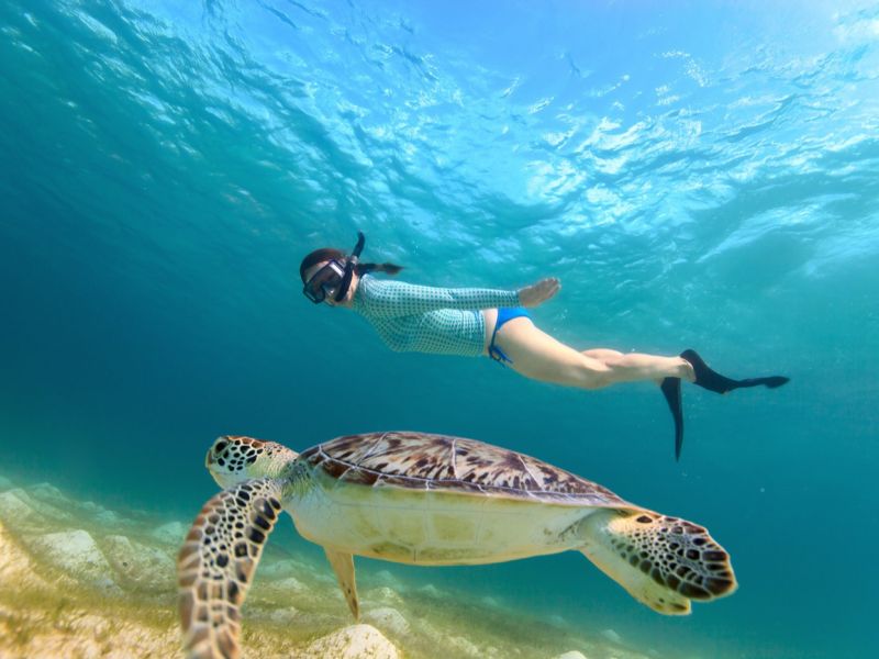 Snorkeling Tours
