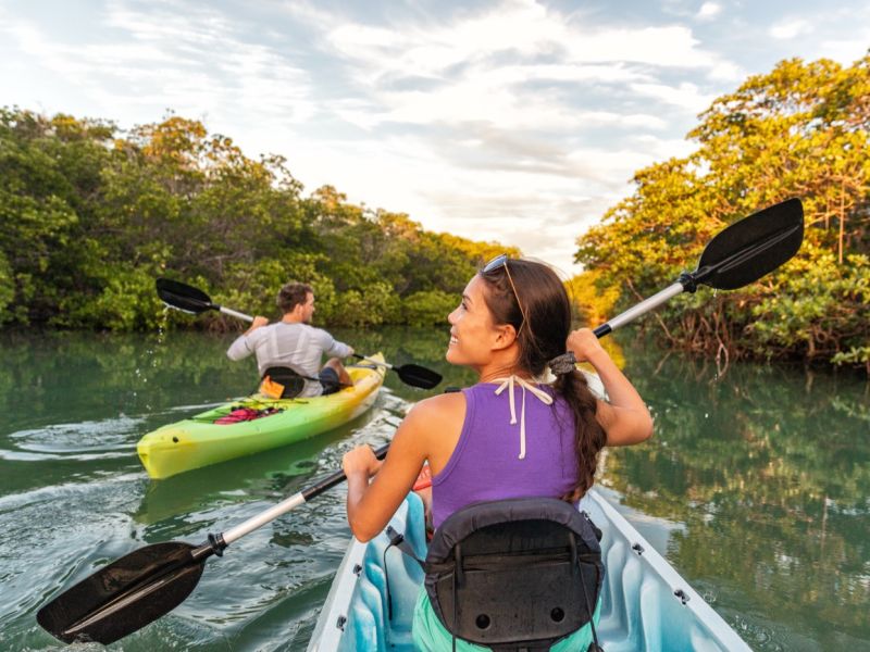 Kayak Tours