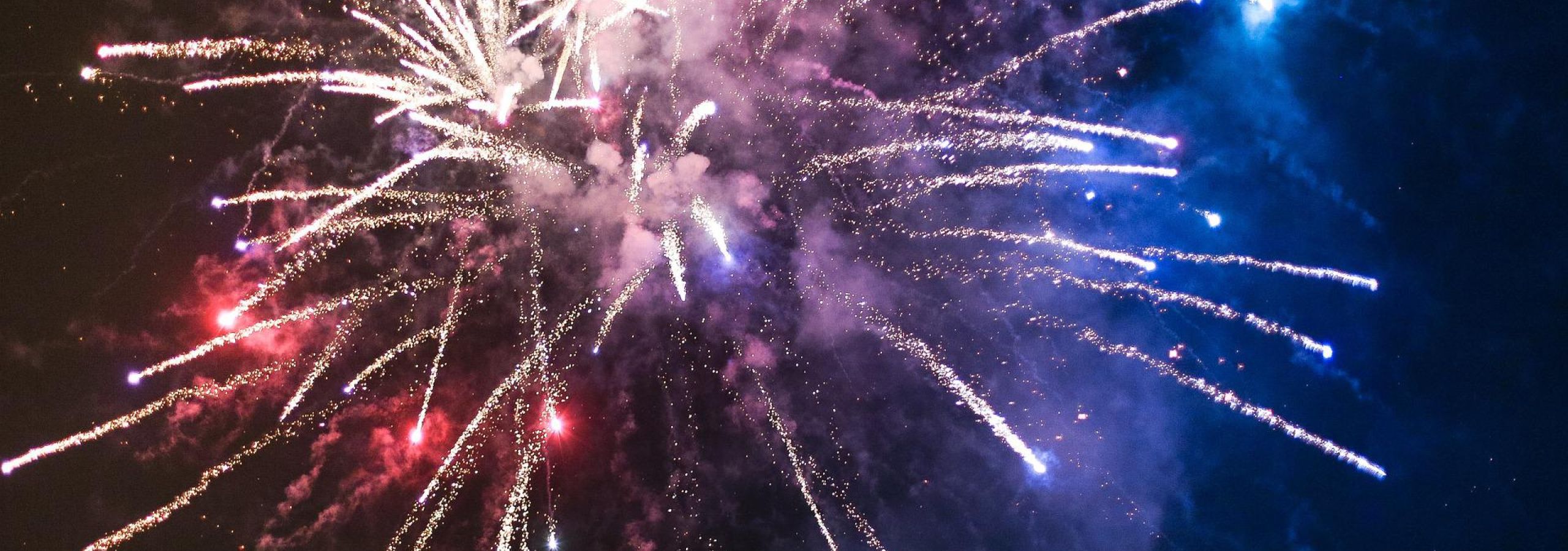 Colorful fireworks exploding in night sky
