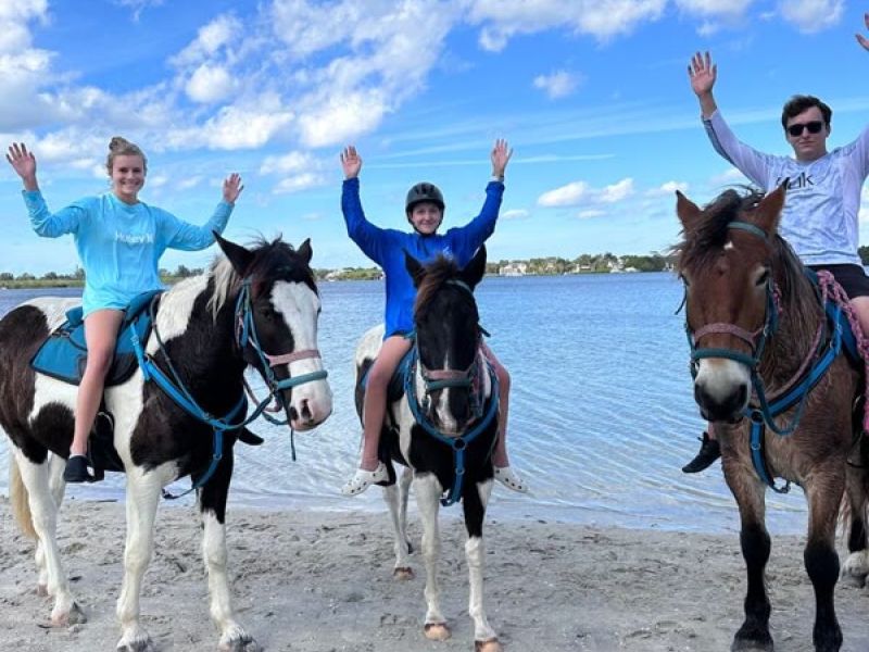 Group of people riding horses on beach