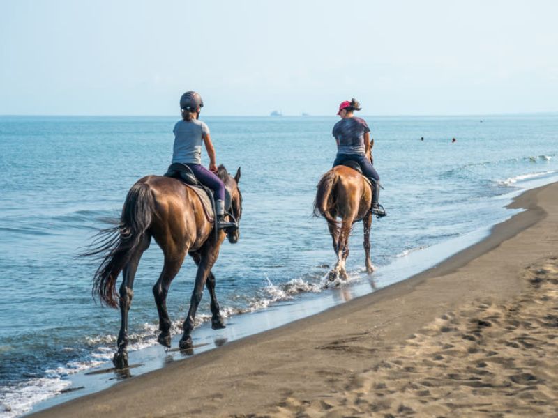 Two riders on horseback entering water at beach