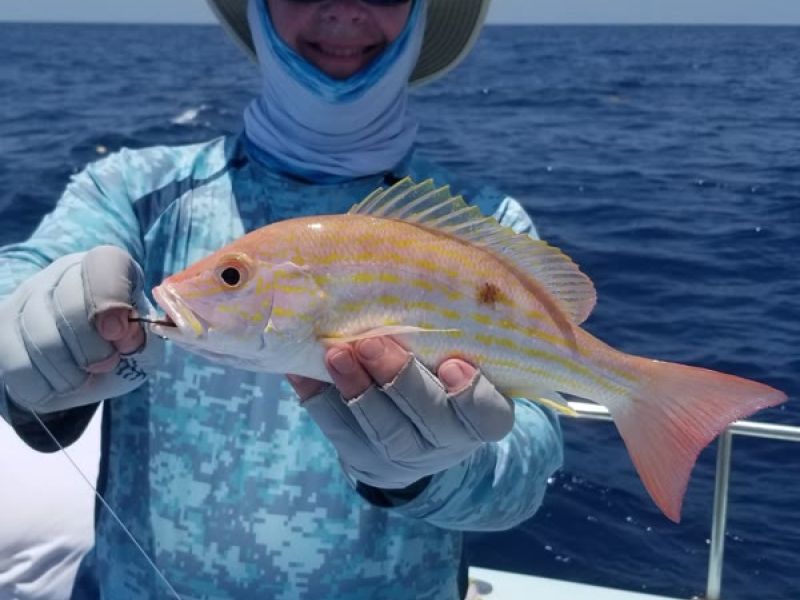 Fisherman holds large orange grouper fish on boat