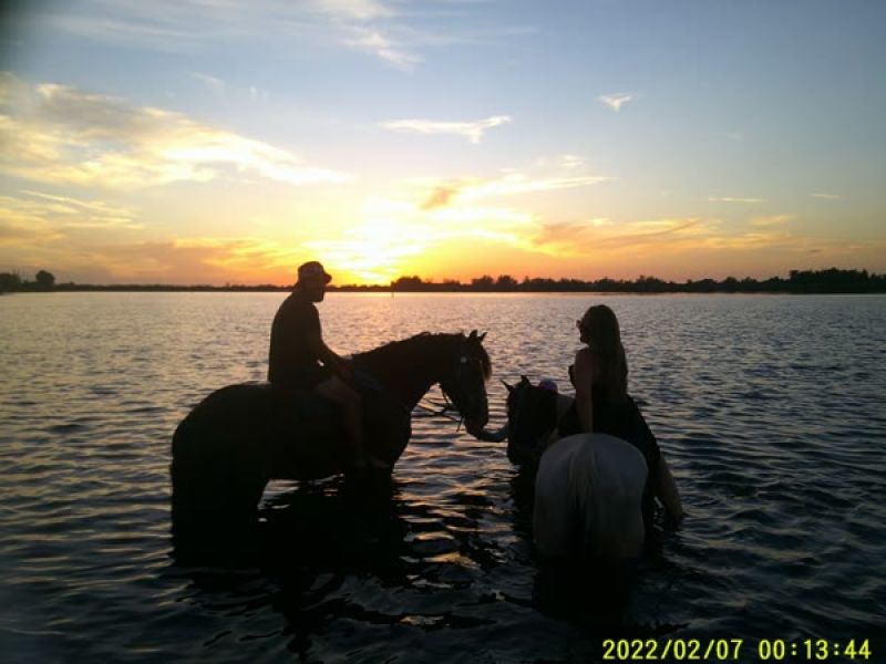 People ride horses in water at sunset