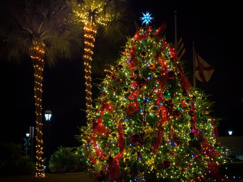 Guide to Christmas on Anna Maria Island