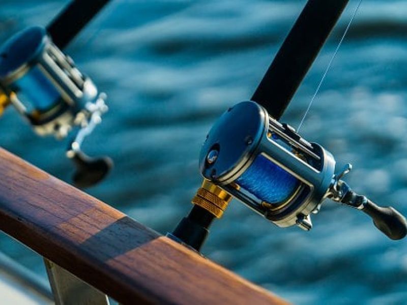 SEA fishing charter