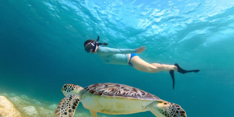 Snorkeler swimming beside sea turtle underwater
