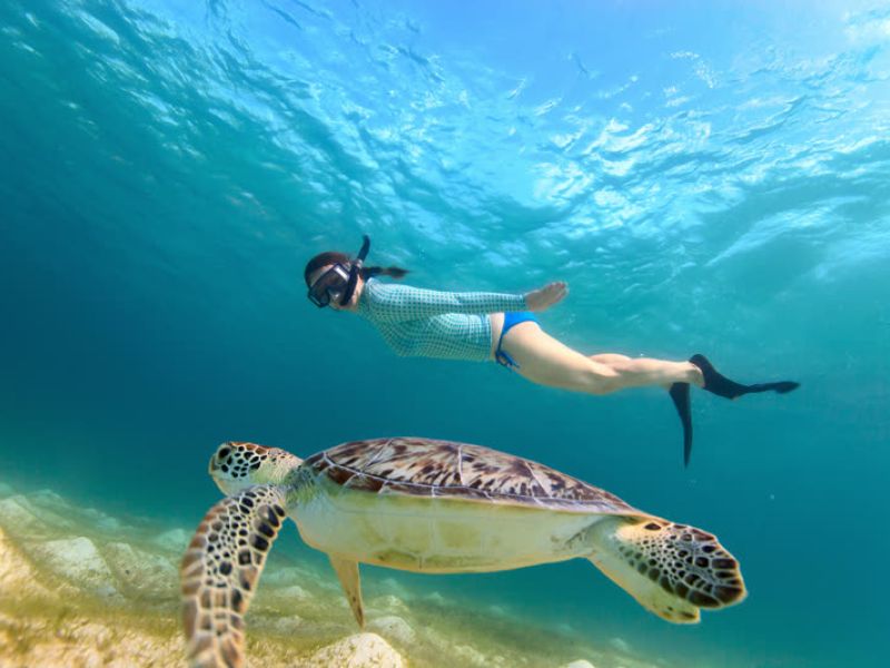 Snorkeler swimming underwater next to sea turtle