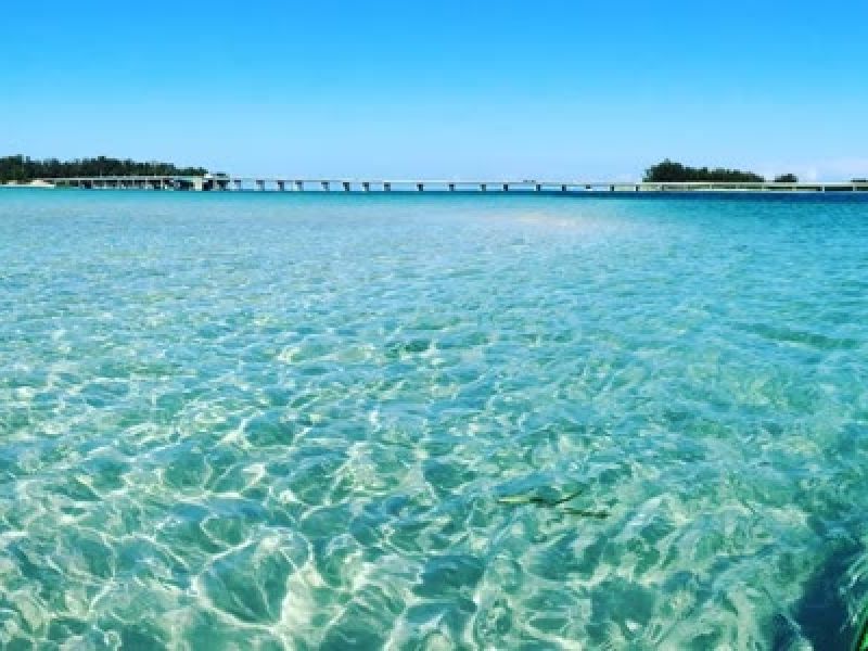 Kayak view of clear water with distant bridge