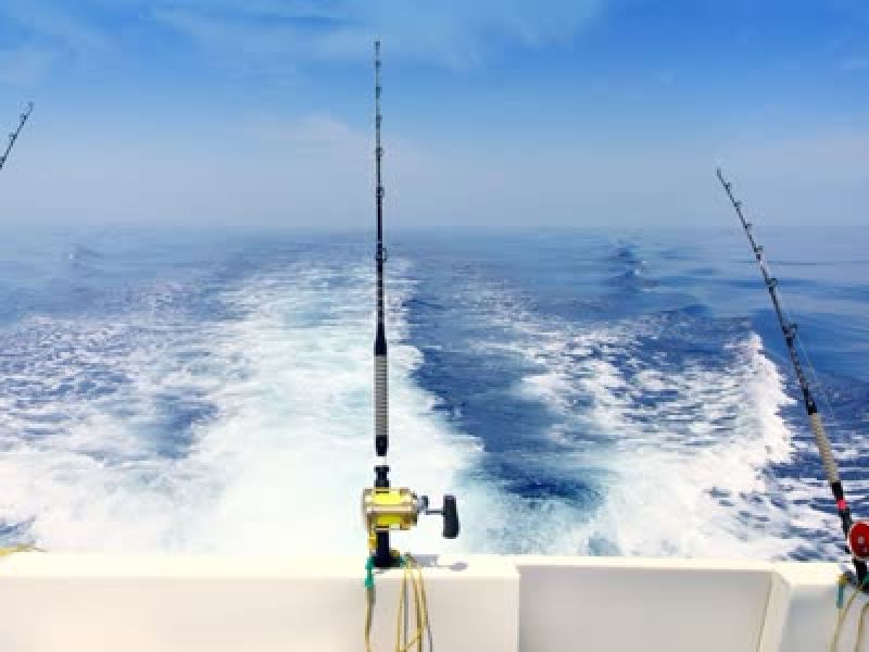 Multiple fishing rods on boat railing with ocean behind