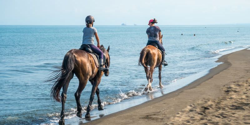 Two riders on horseback entering water at beach