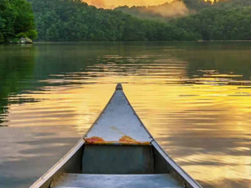 Canoe paddling through mangrove waterway at sunrise