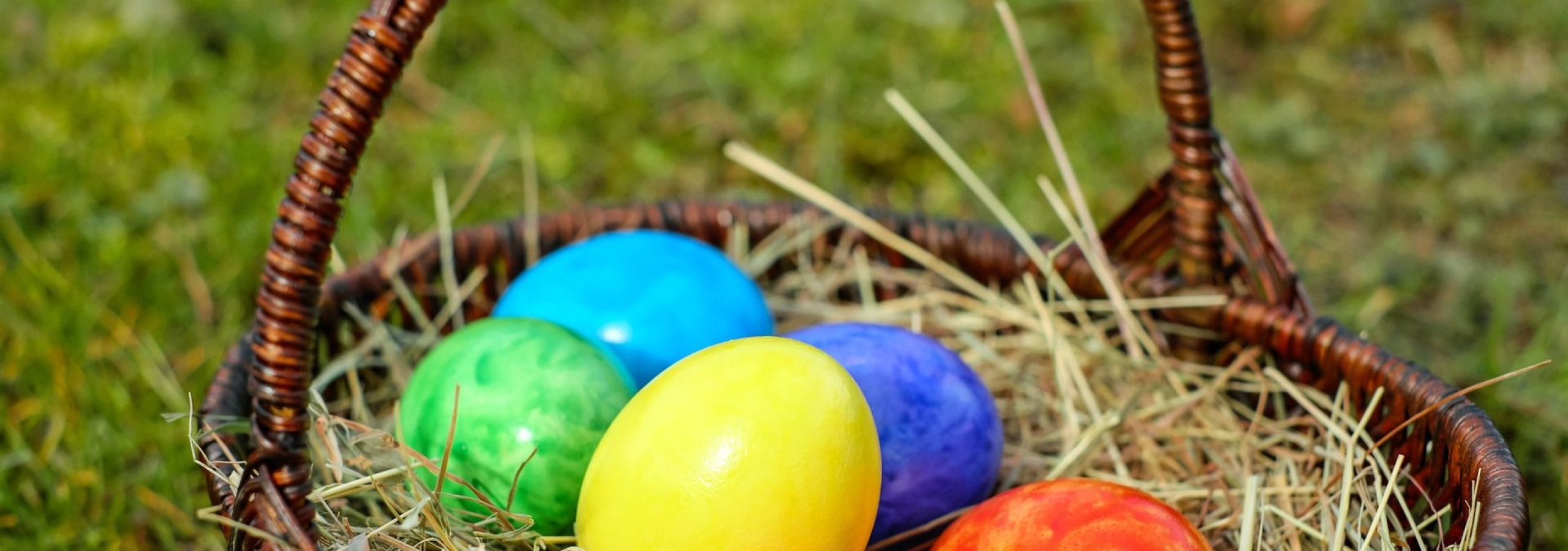 Colorful Easter eggs in wicker basket on green grass