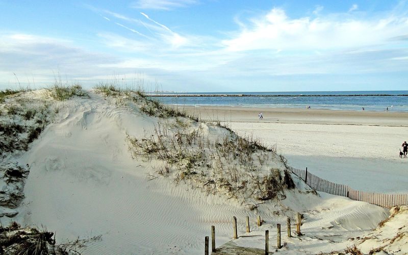 Sandy coastal dunes with protective fence and ocean beyond