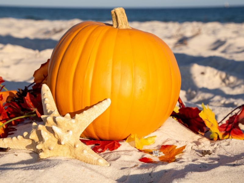 Anna Maria Thanksgiving Vacation Rentals