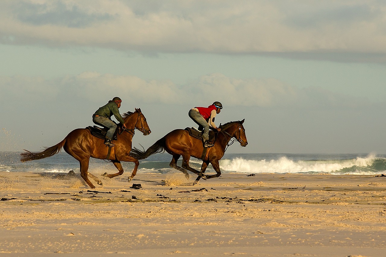 Two riders on horseback galloping along beach