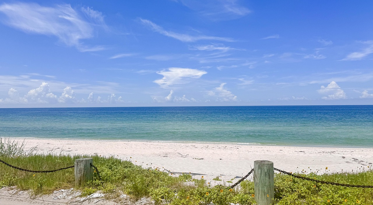 Sandy beach with dune vegetation and clear turquoise water