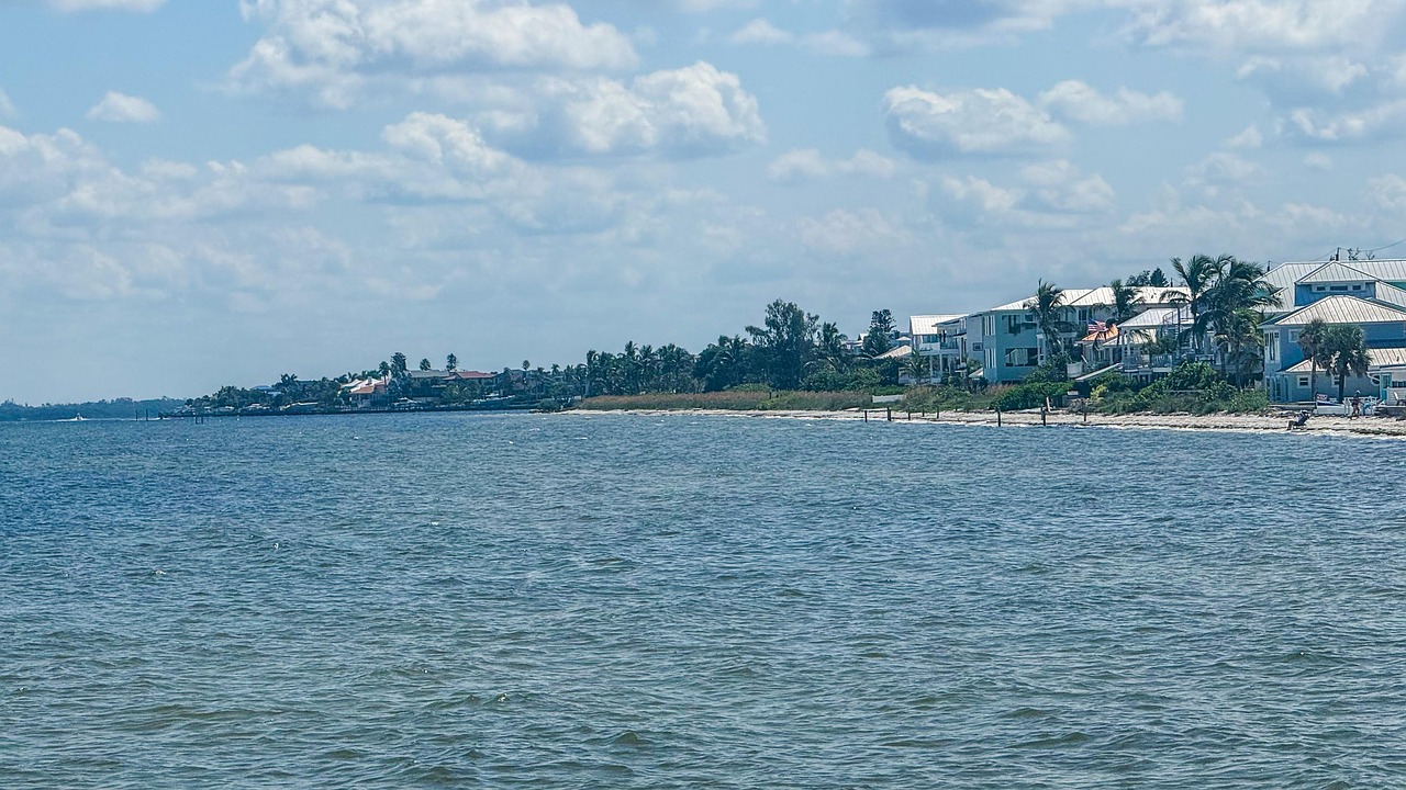 Waterfront homes lining the coast under blue sky