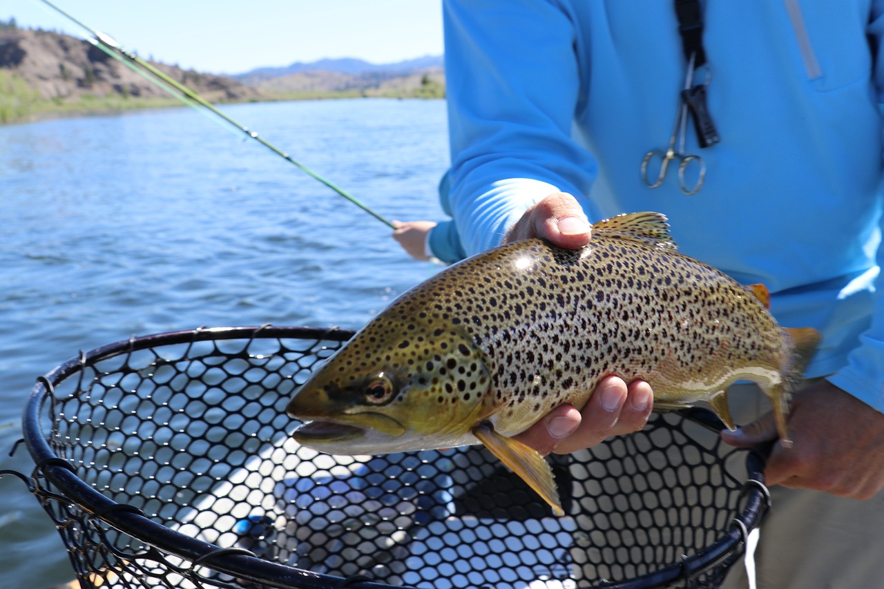 Spotted fish in net on fishing boat