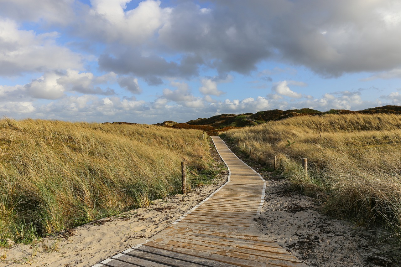 Elevated boardwalk winding through coastal dune grasses