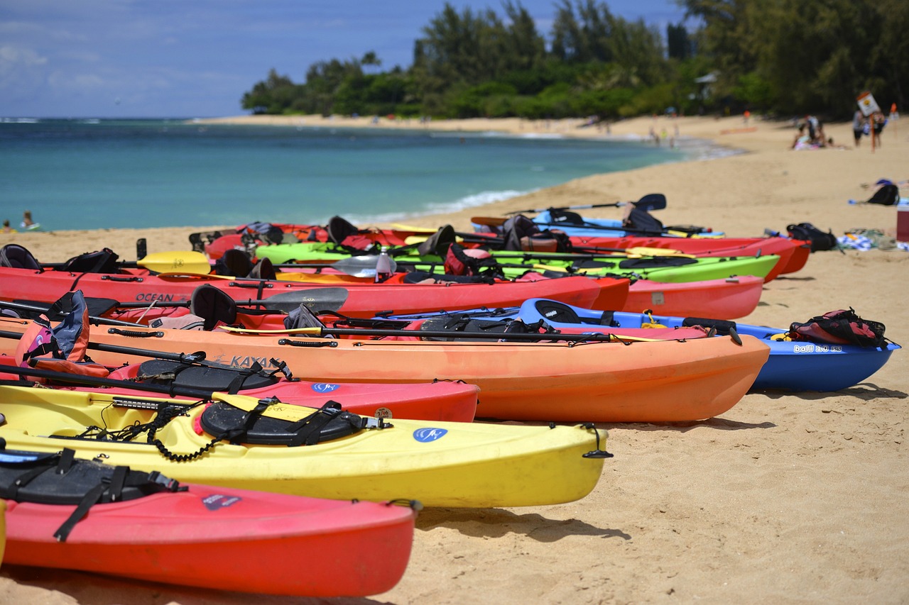 Row of colorful kayaks lined up on beach
