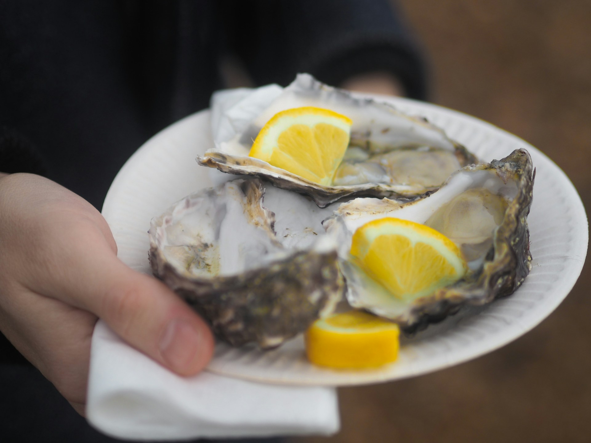 Fresh oysters on plate served with lemon wedges