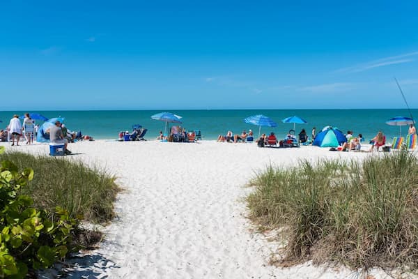 Beachgoers enjoying sandy beach with coastal dune grass