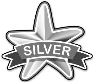 Silver star badge denoting silver tier status